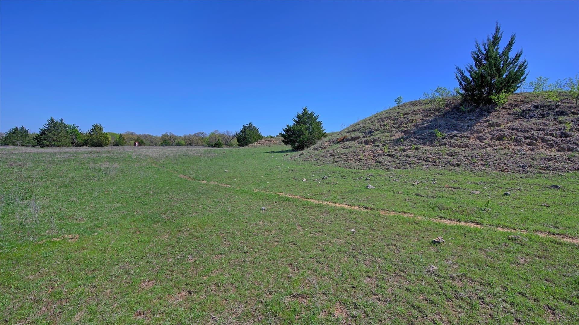 33.59 acres in Montague County - photo 5