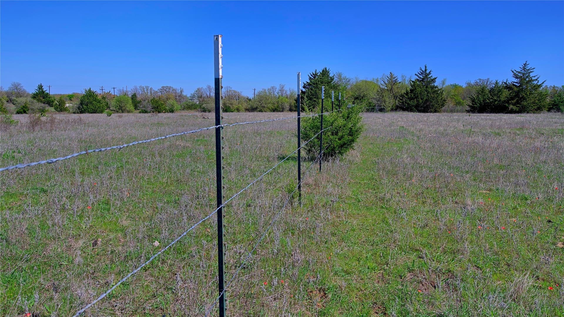 33.59 acres in Montague County - photo 7