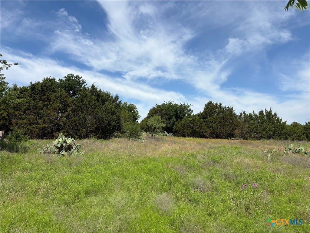 9.84 acres in Lampasas County gallery image 2