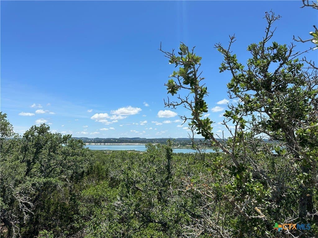 8.23 acres in Comal County gallery image 2