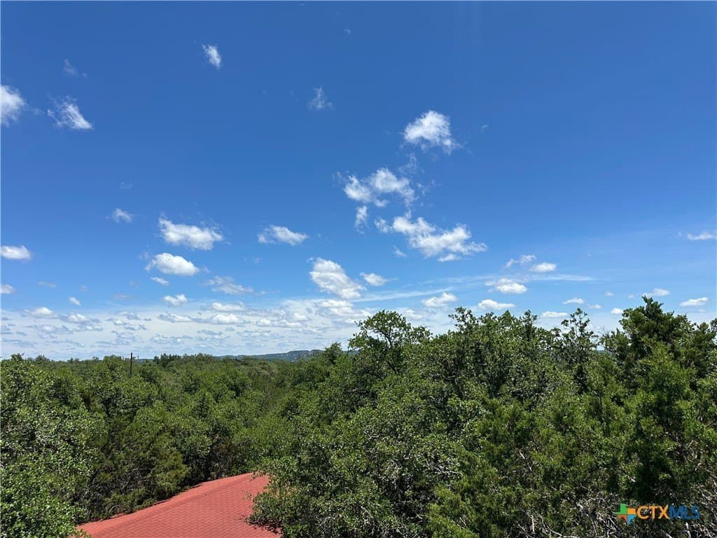 8.23 acres in Comal County gallery image 3