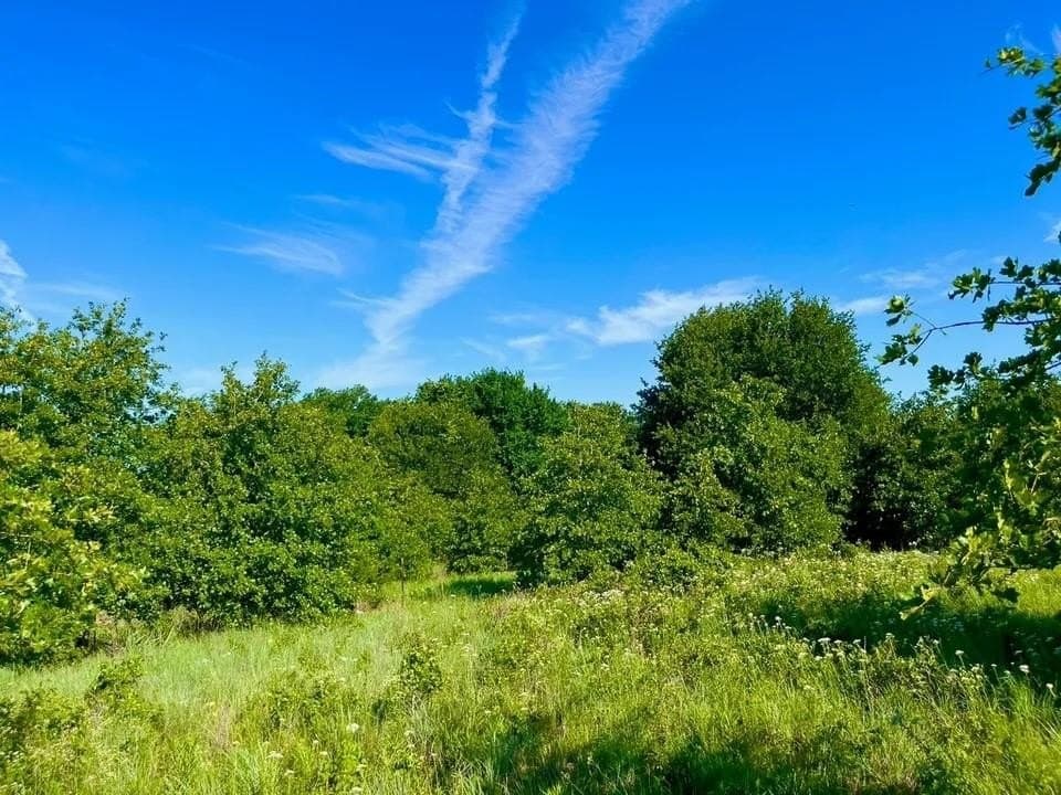 2.04 acres in Parker County