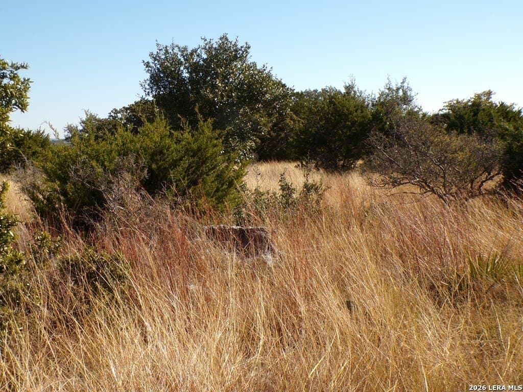 10.1 acres in Kerr County - photo 6