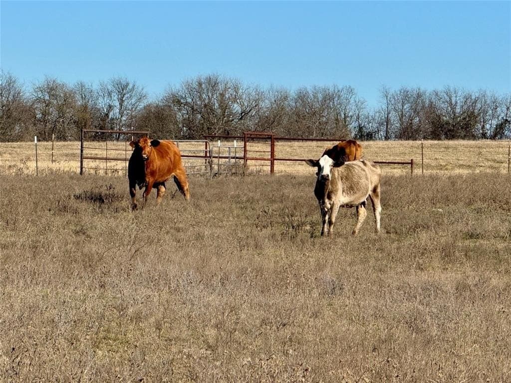 29.81 acres in Hunt County featured view