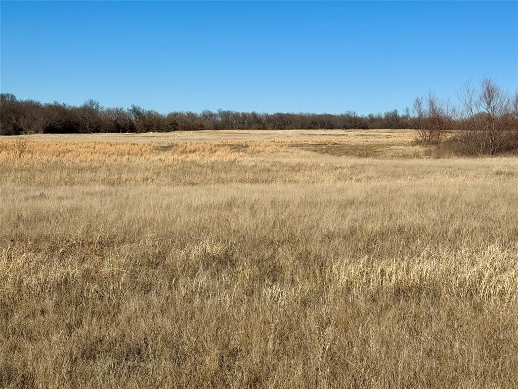 29.81 acres in Hunt County gallery image 2