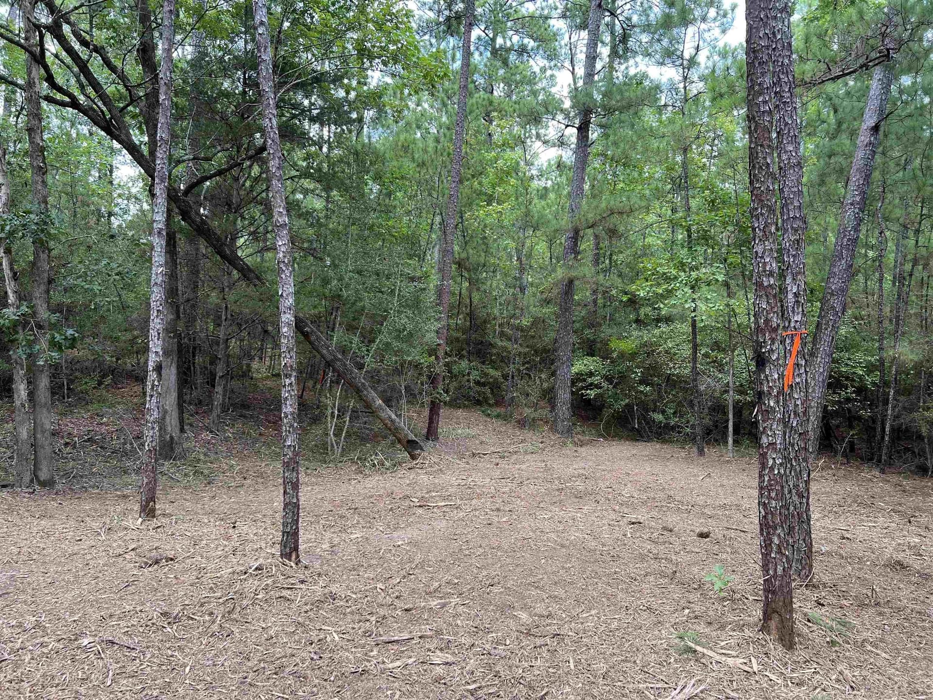 0.51 acres in Texas County - photo 17