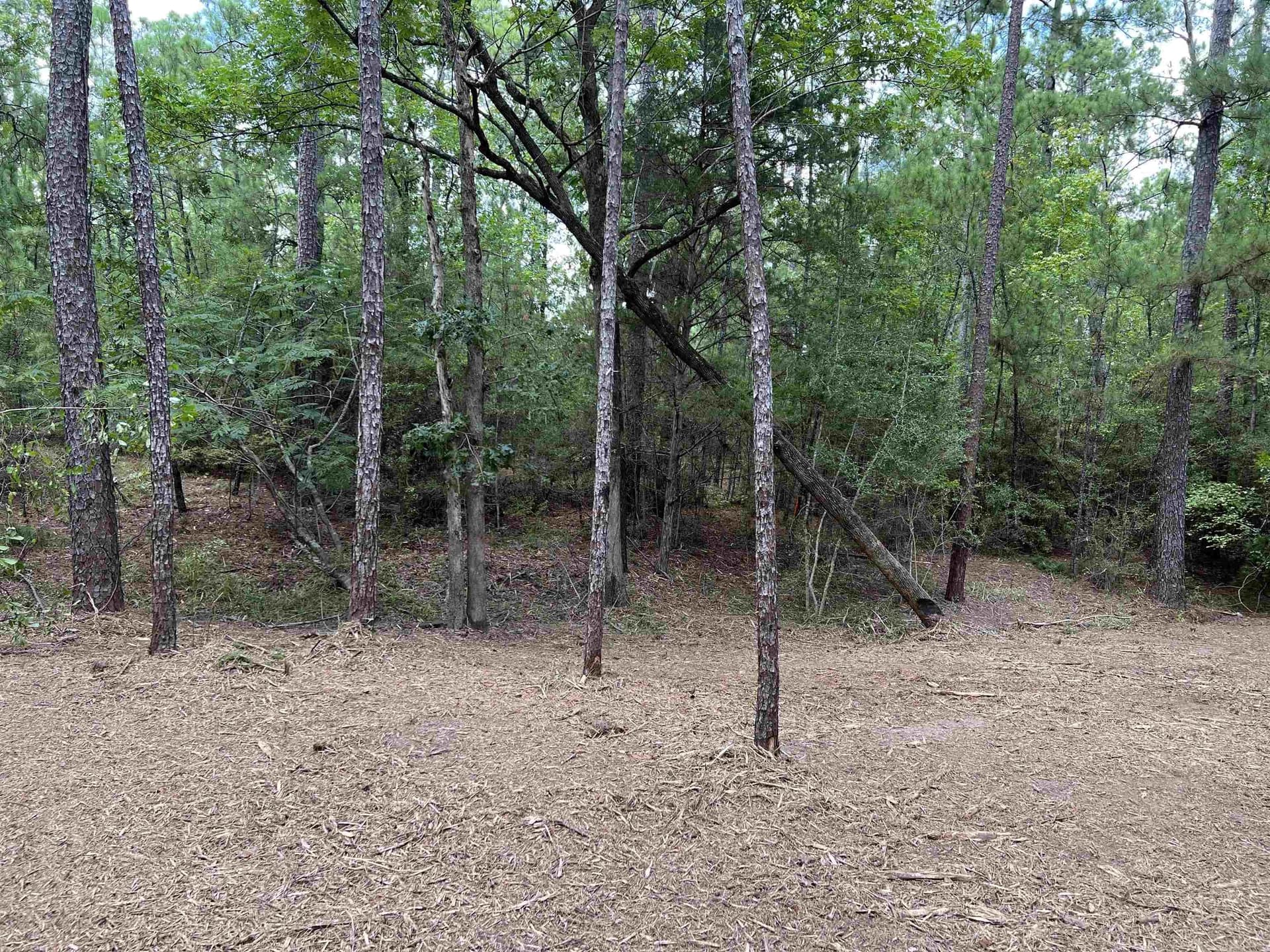 0.51 acres in Texas County - photo 16