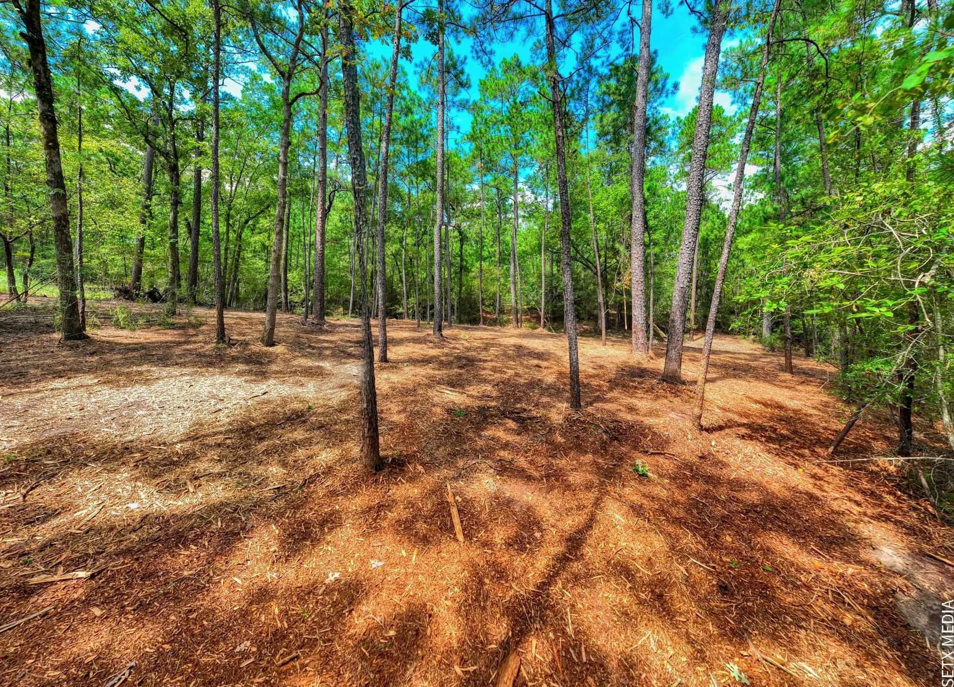 0.51 acres in Texas County - photo 10
