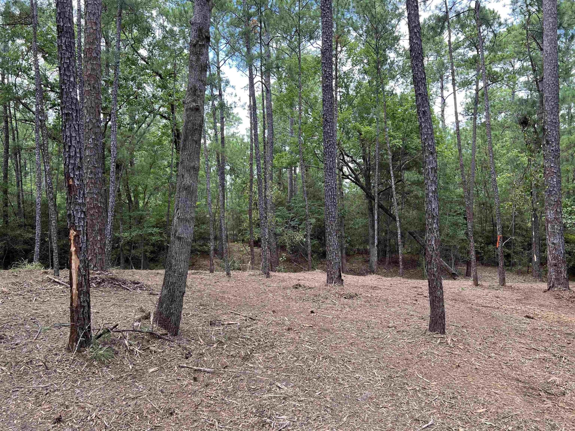 0.51 acres in Texas County - photo 15