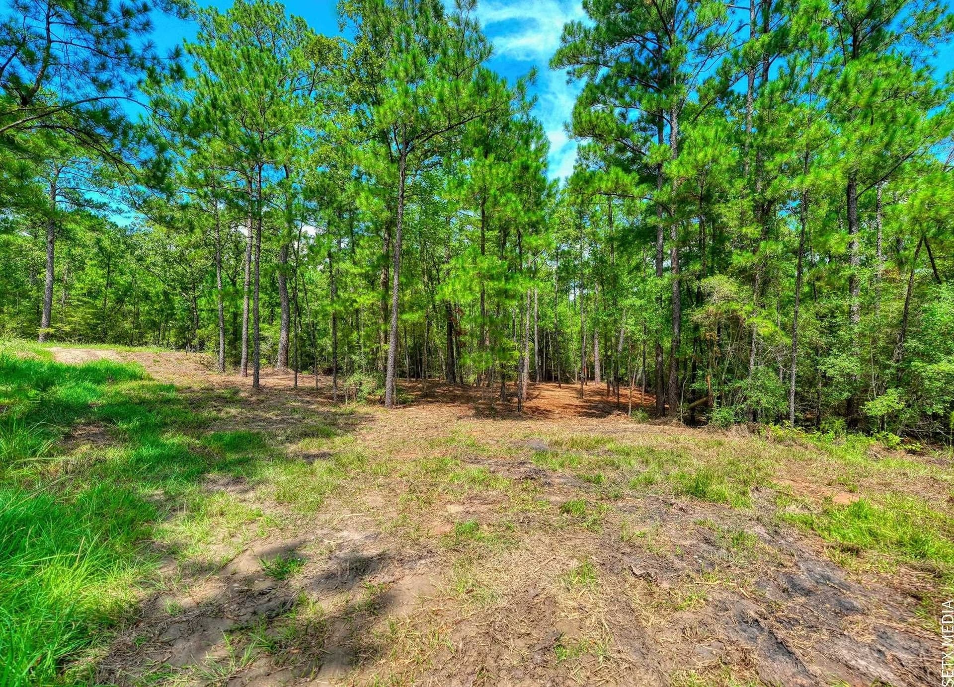 0.51 acres in Texas County - photo 9