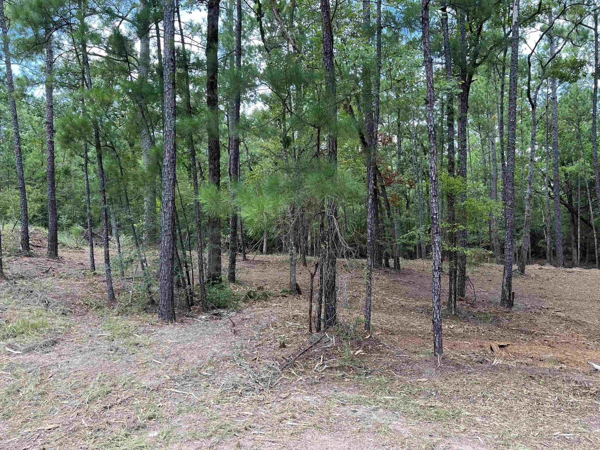 0.51 acres in Texas County - photo 14