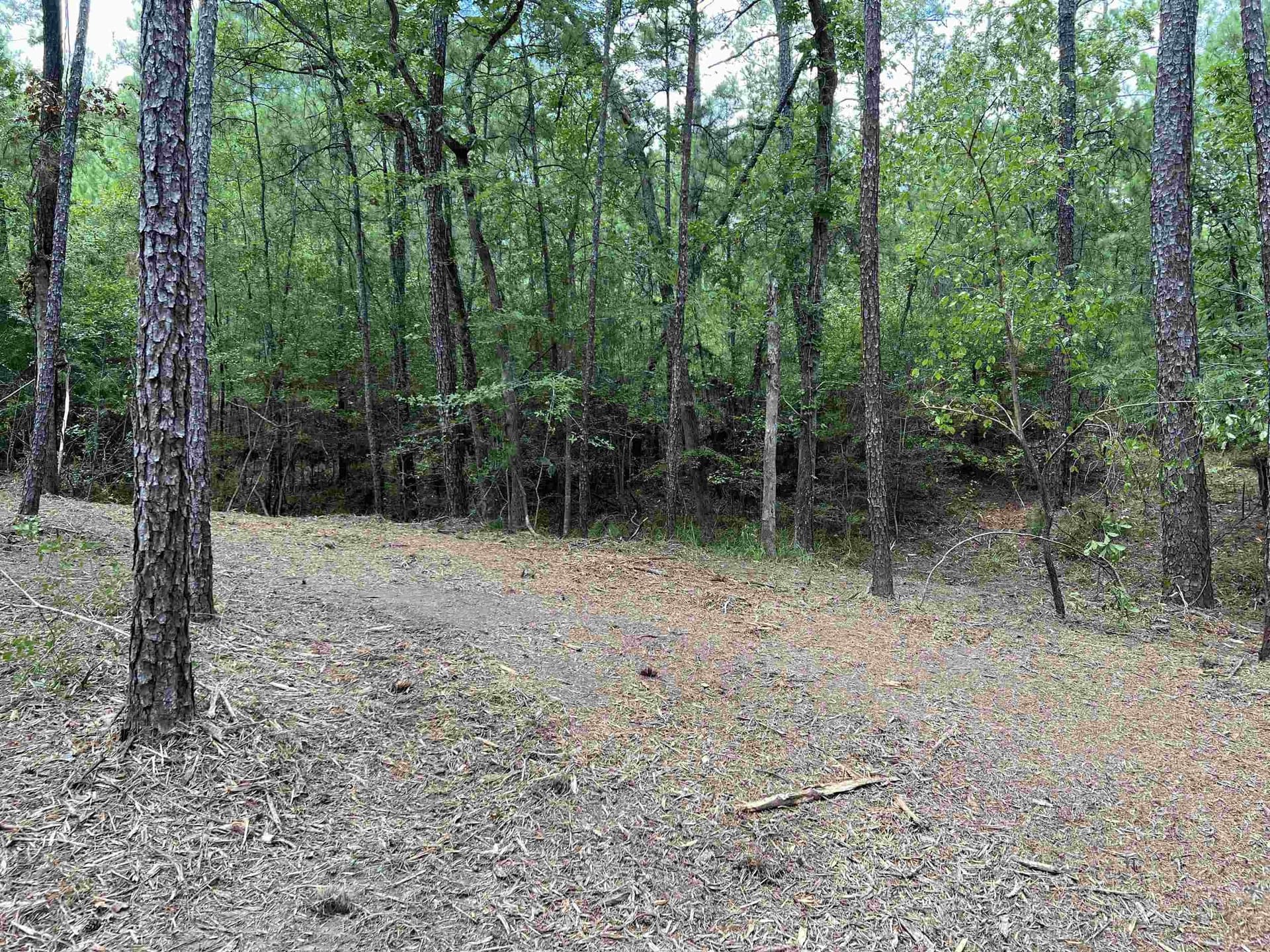 0.51 acres in Texas County - photo 18