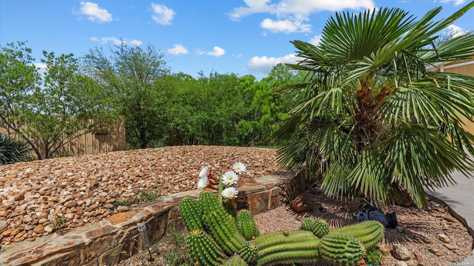 24.96 acres in Comal County - photo 19