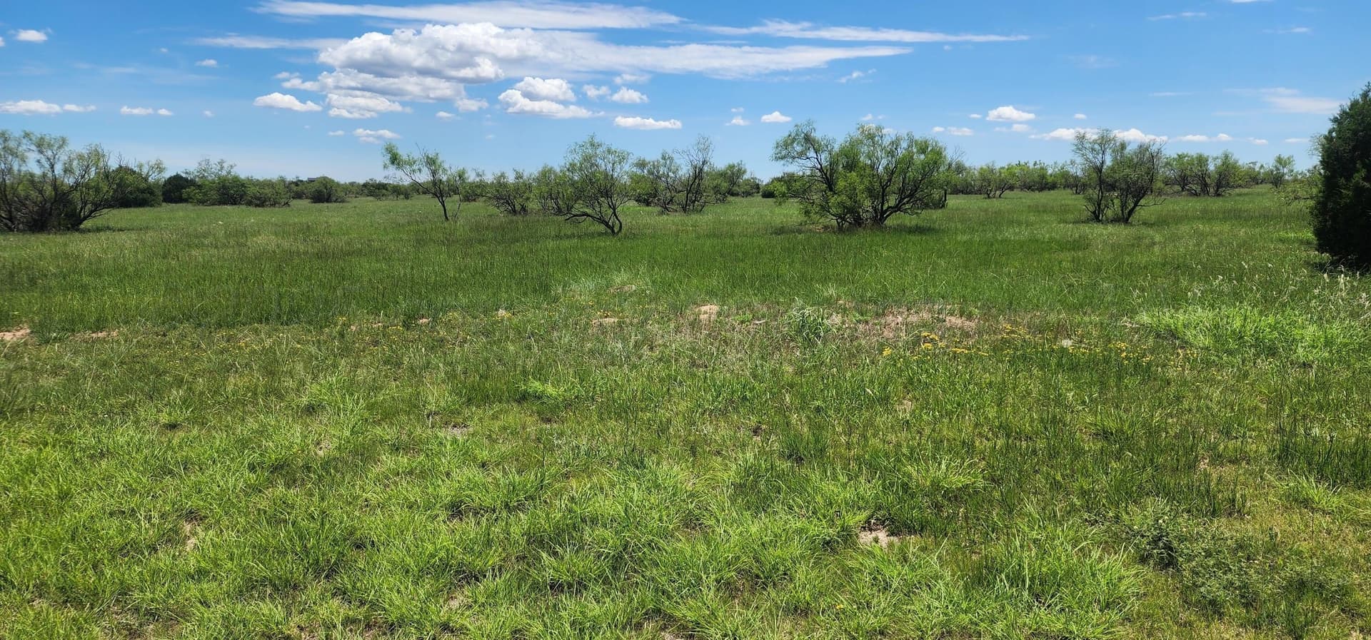 3.13 acres in Randall County - photo 7
