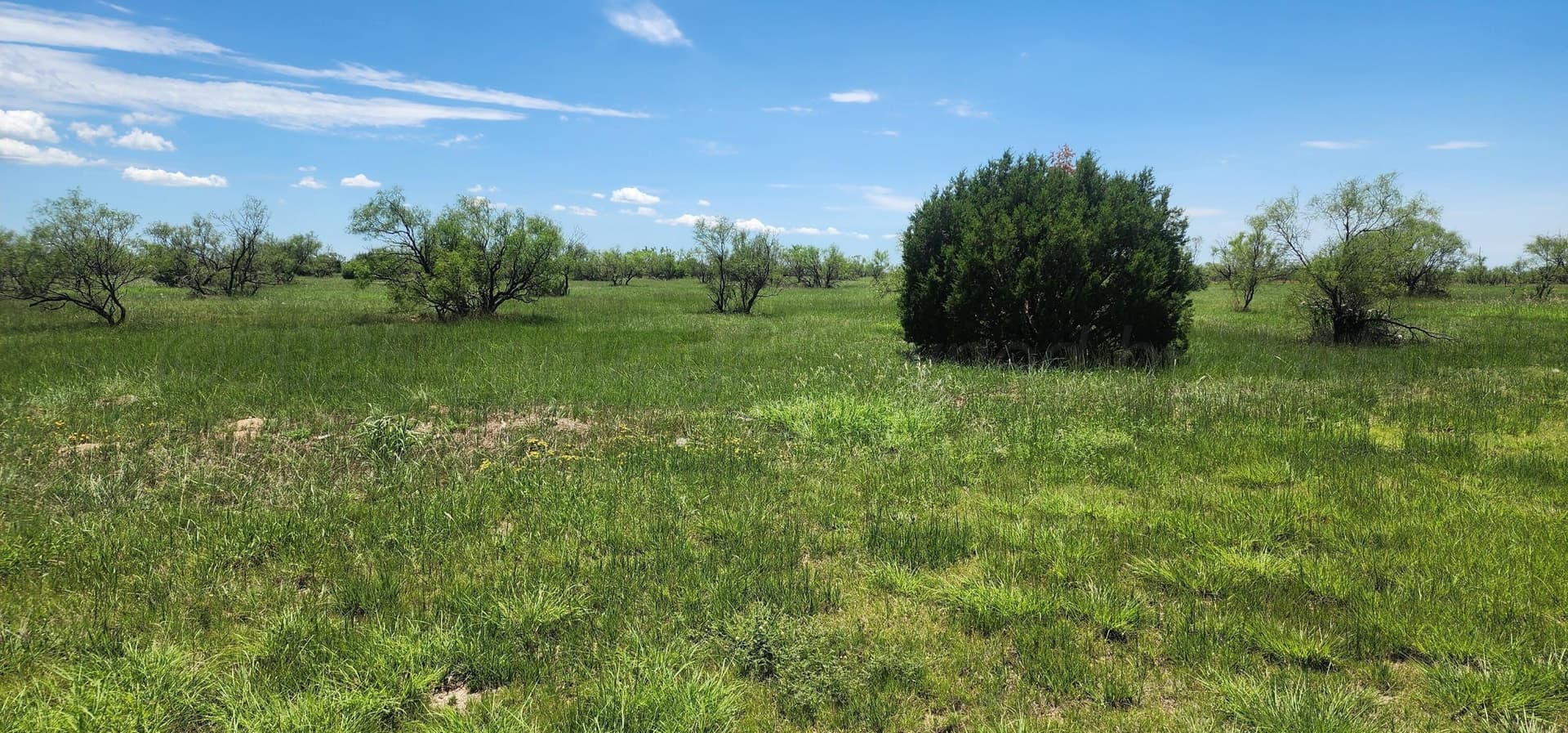 3.13 acres in Randall County - photo 6