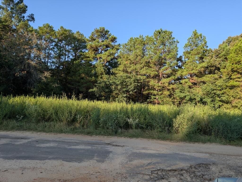 2.36 acres in ANDERSON County - photo 6
