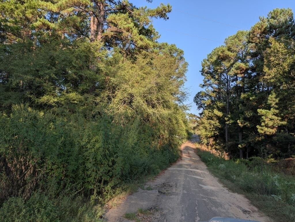 2.36 acres in ANDERSON County - photo 3