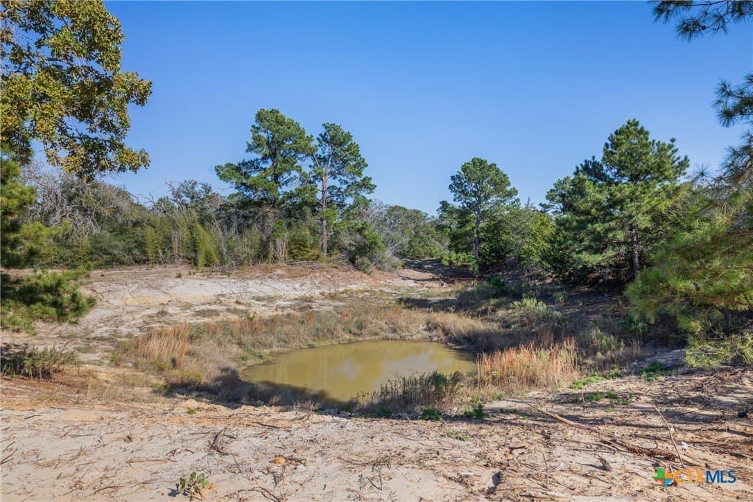 163.63 acres in Caldwell County gallery image 2