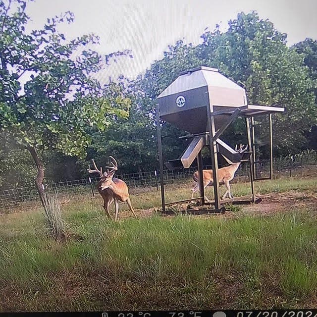 36 acres in Parker County gallery image 4