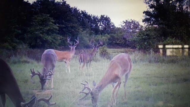 36 acres in Parker County gallery image 2