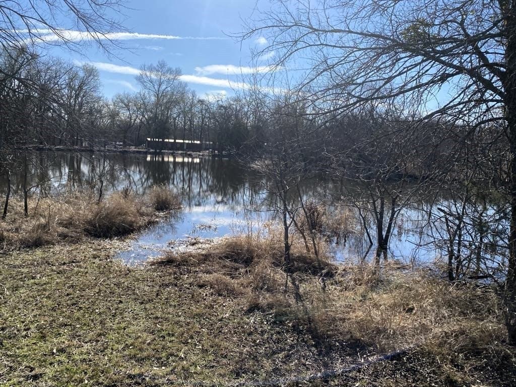 25 acres in Van Zandt County gallery image 2