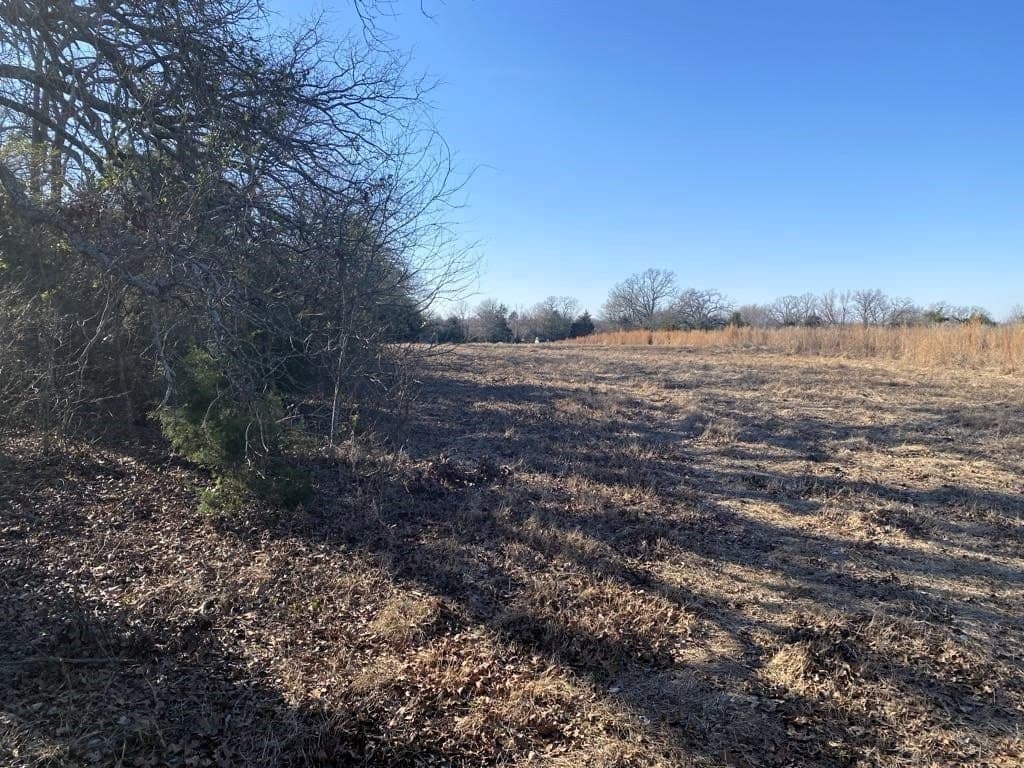 25 acres in Van Zandt County gallery image 3