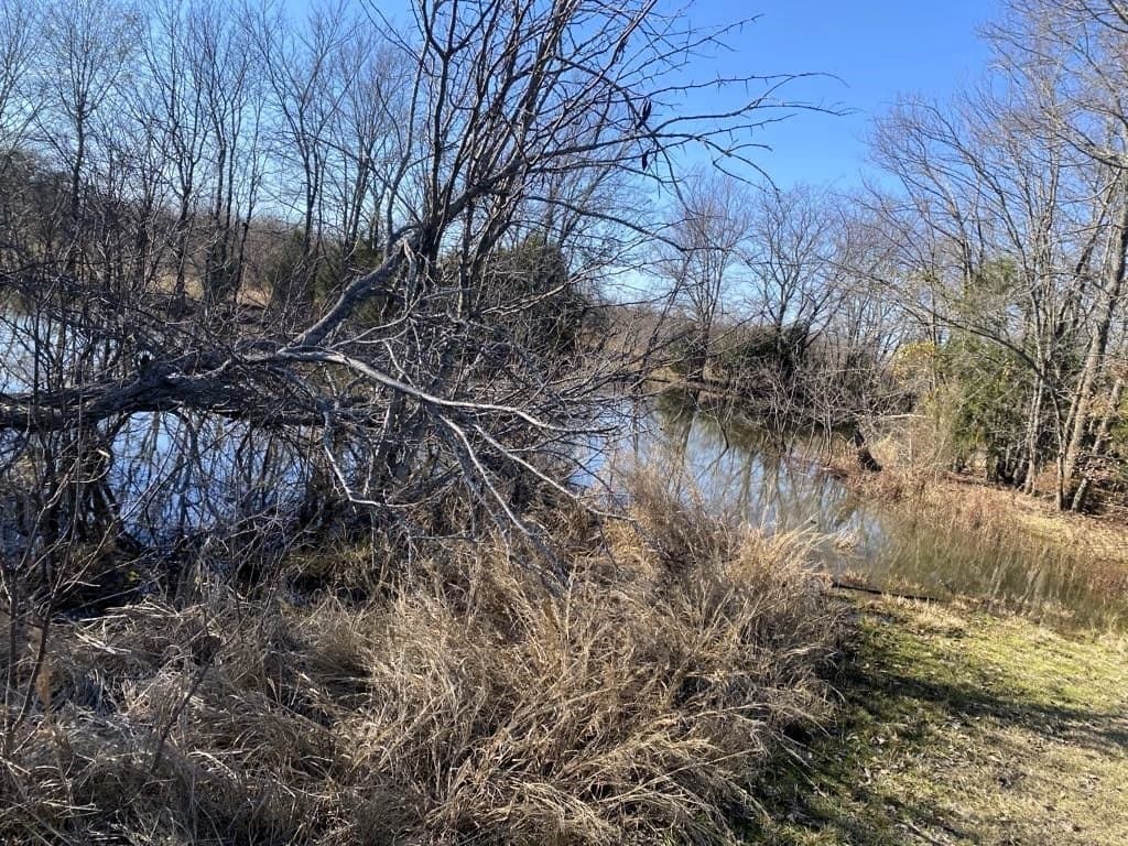 25 acres in Van Zandt County featured view