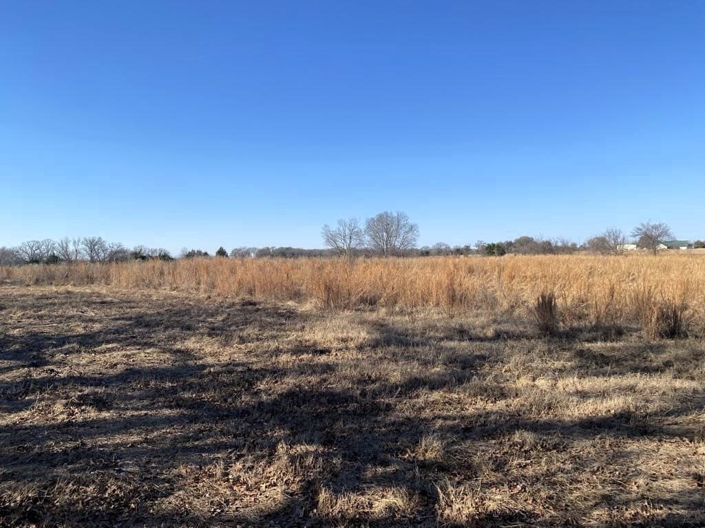 25 acres in Van Zandt County gallery image 4