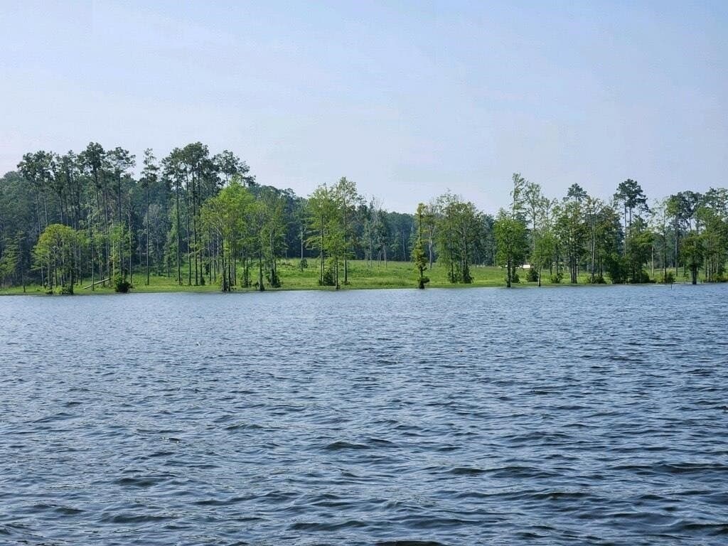 1 acres in Texas County - photo 6