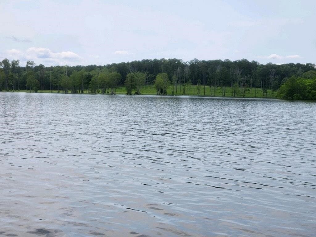 1 acres in Texas County - photo 9