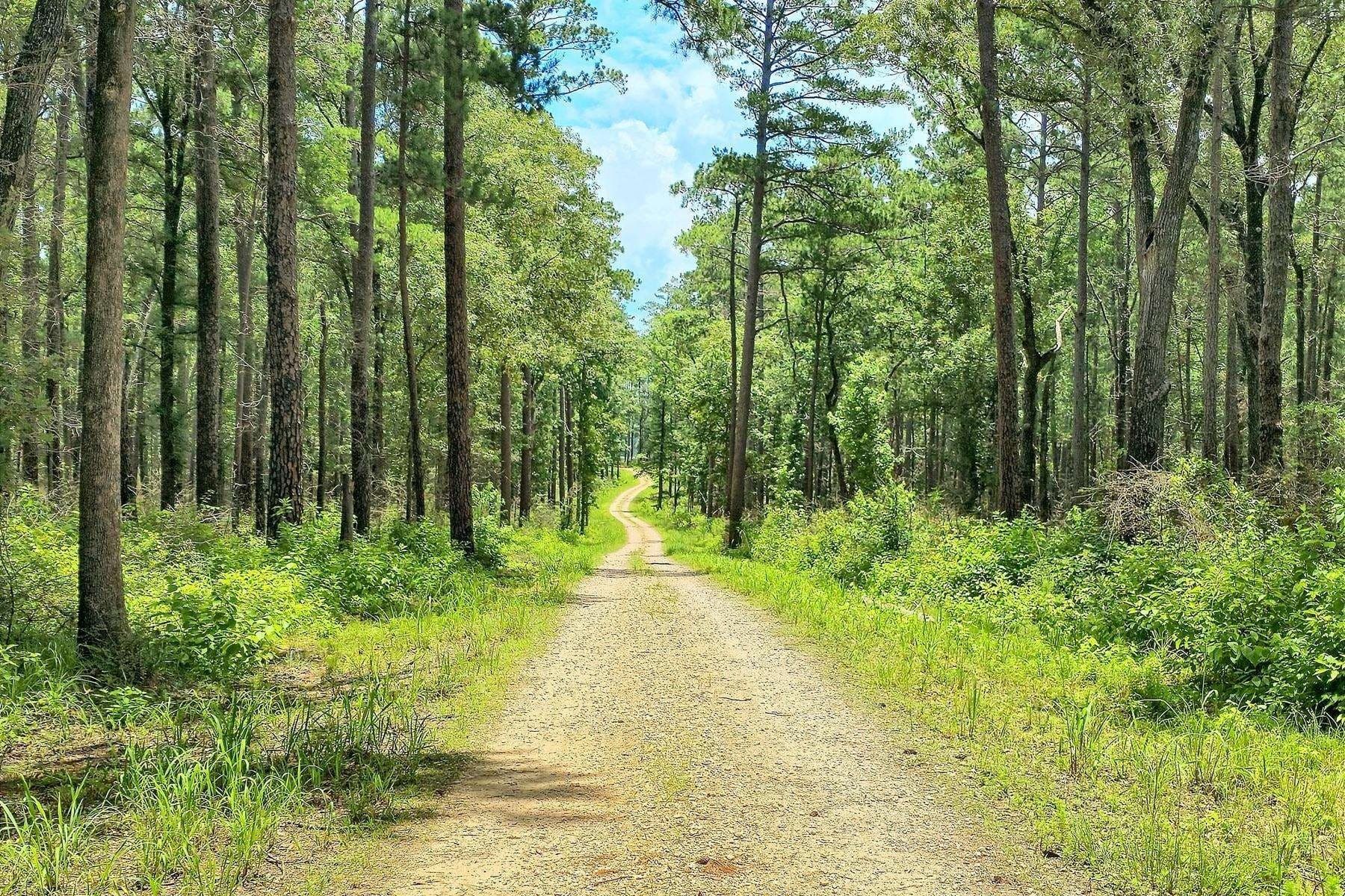 1 acres in Texas County - photo 5