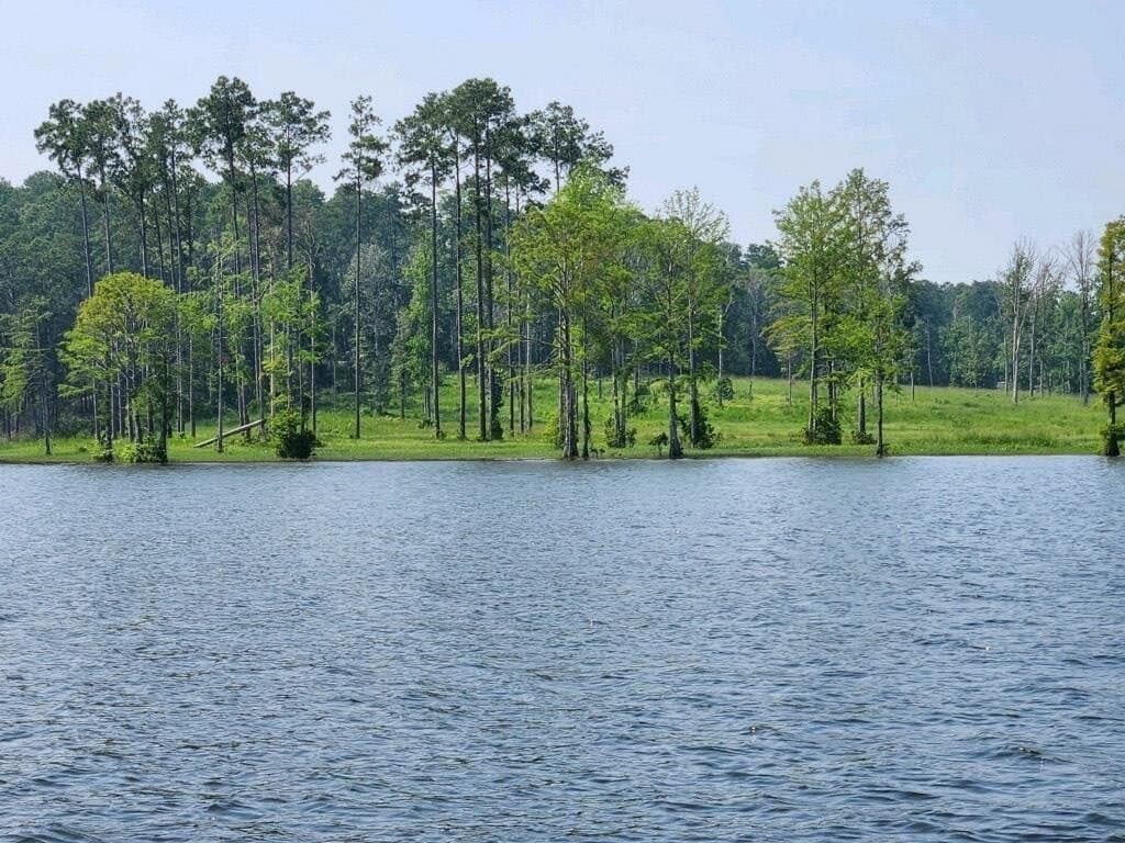 1 acres in Texas County - photo 2