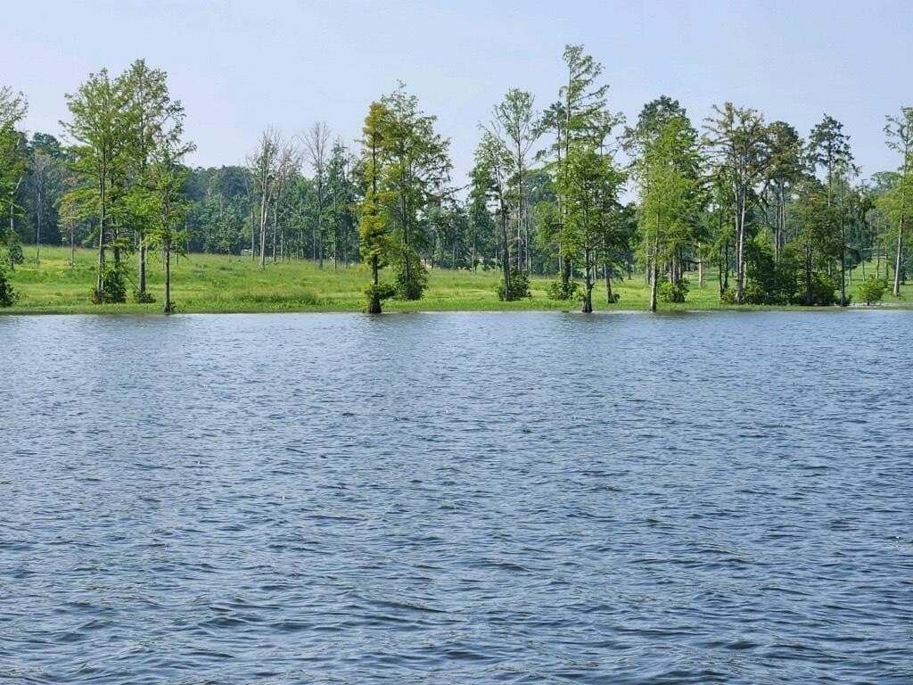 1 acres in Texas County - photo 7