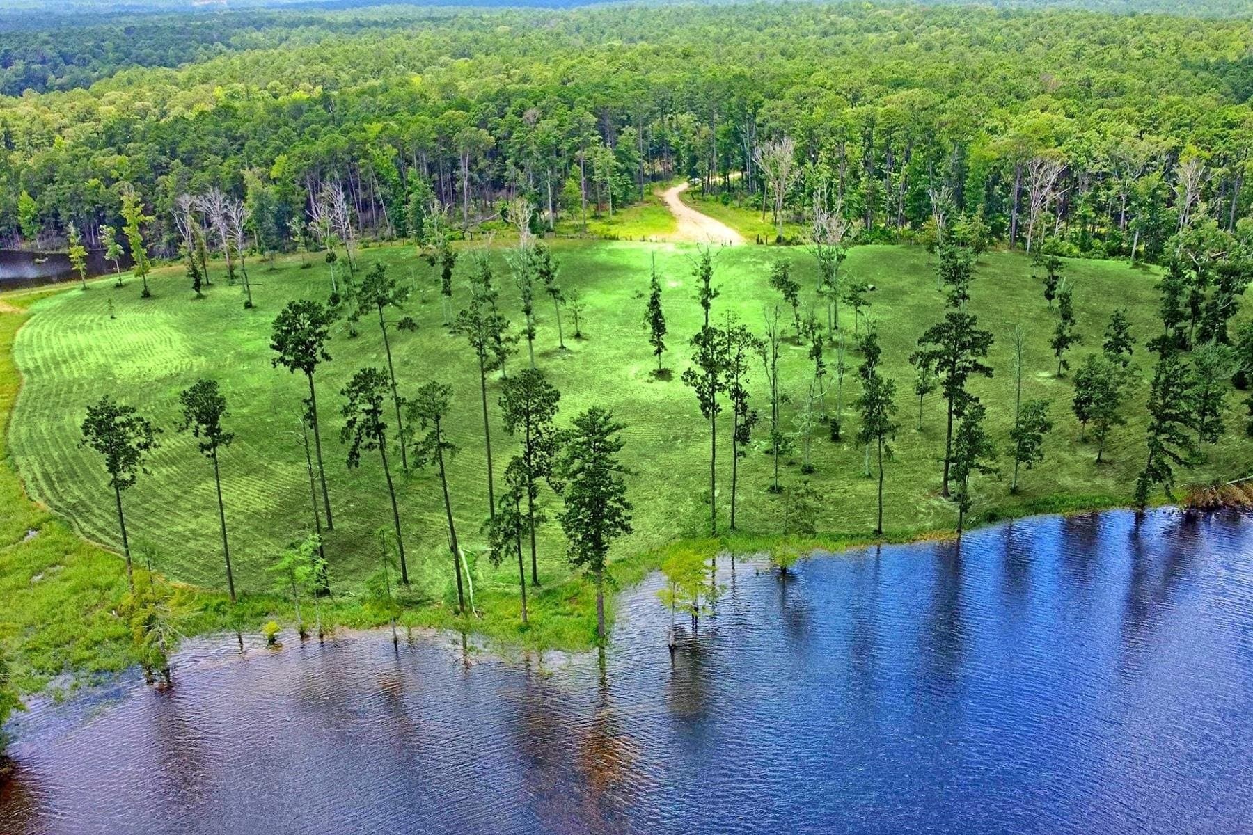 1 acres in Texas County - photo 3