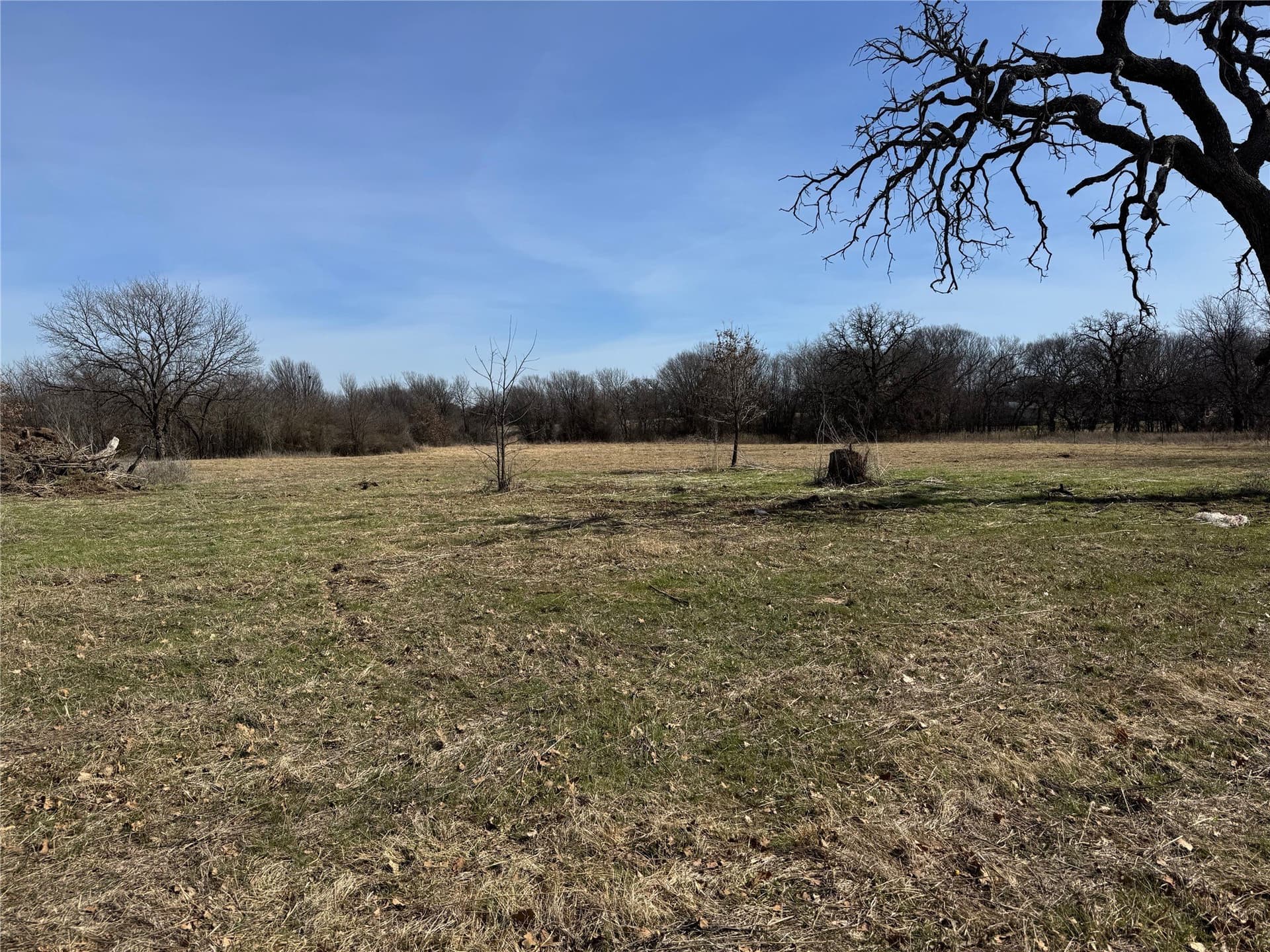 2.56 acres in Wise County gallery image 3