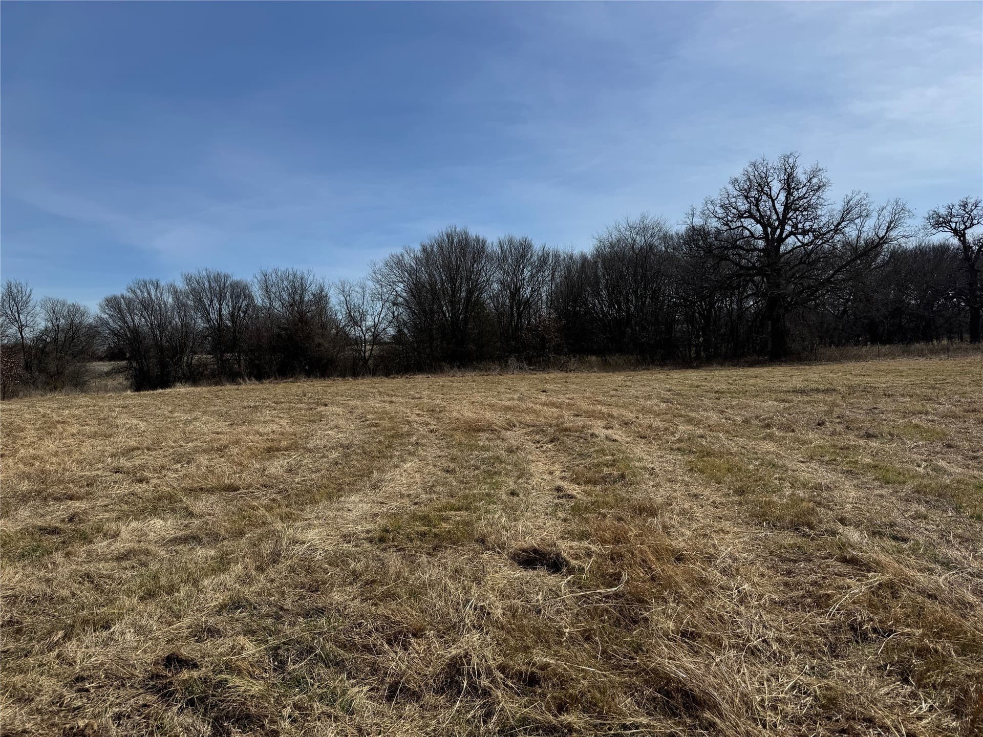 2.56 acres in Wise County gallery image 4