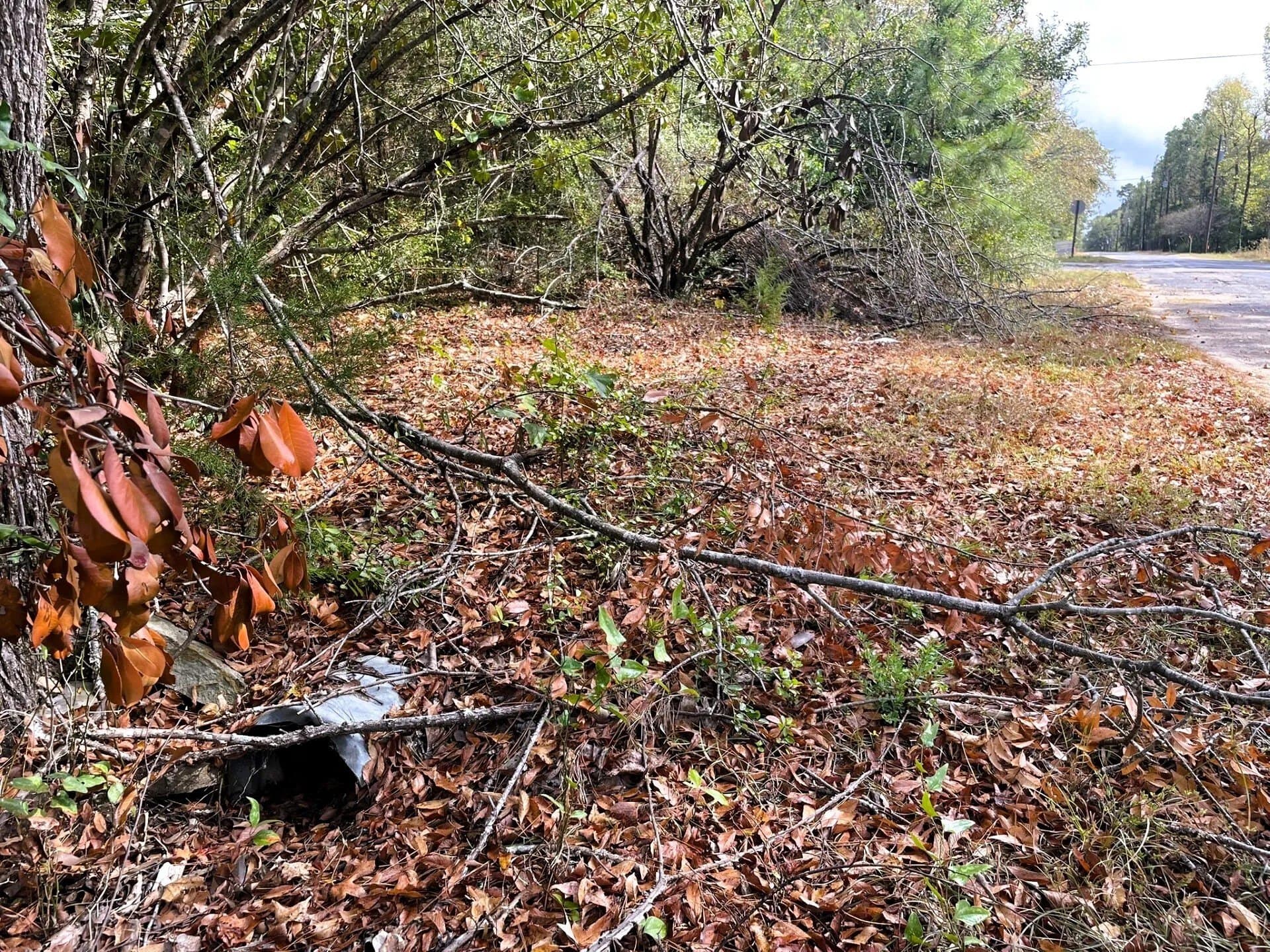 0.35 acres in Trinity County - photo 18