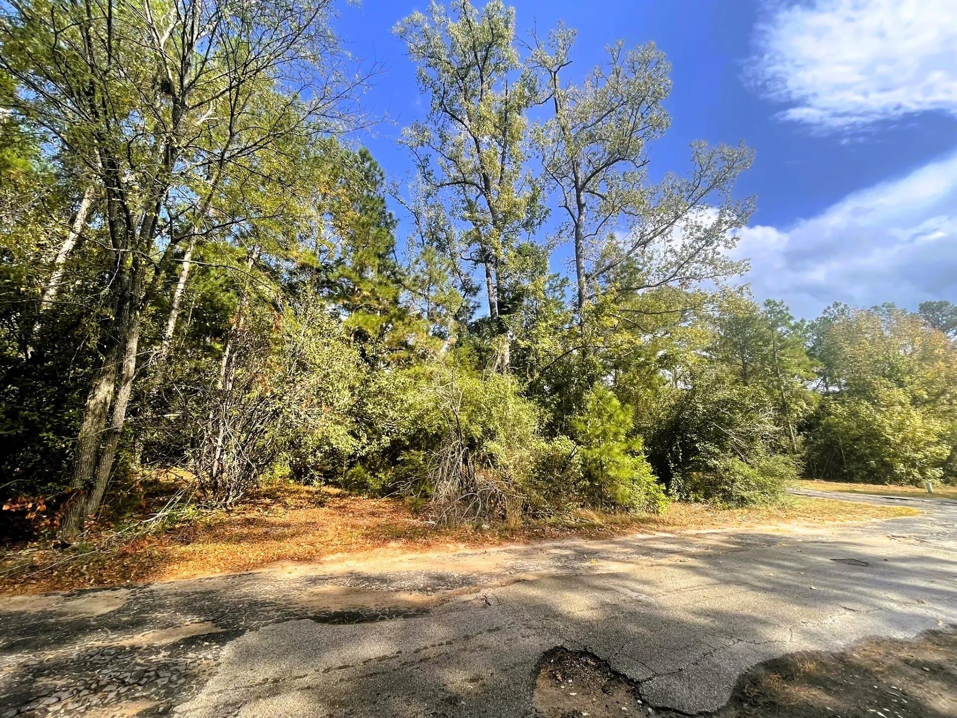 0.35 acres in Trinity County - photo 11