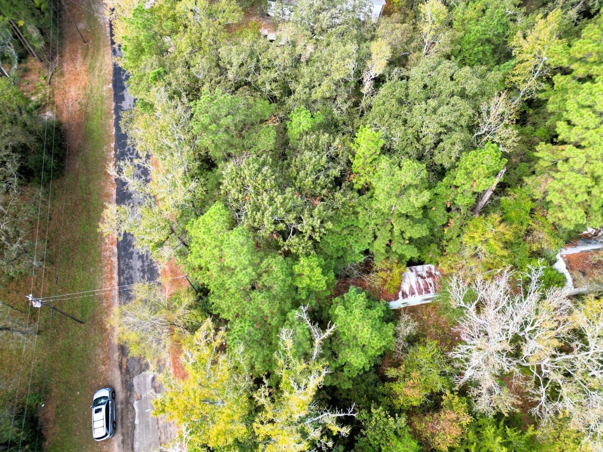 0.35 acres in Trinity County - photo 6