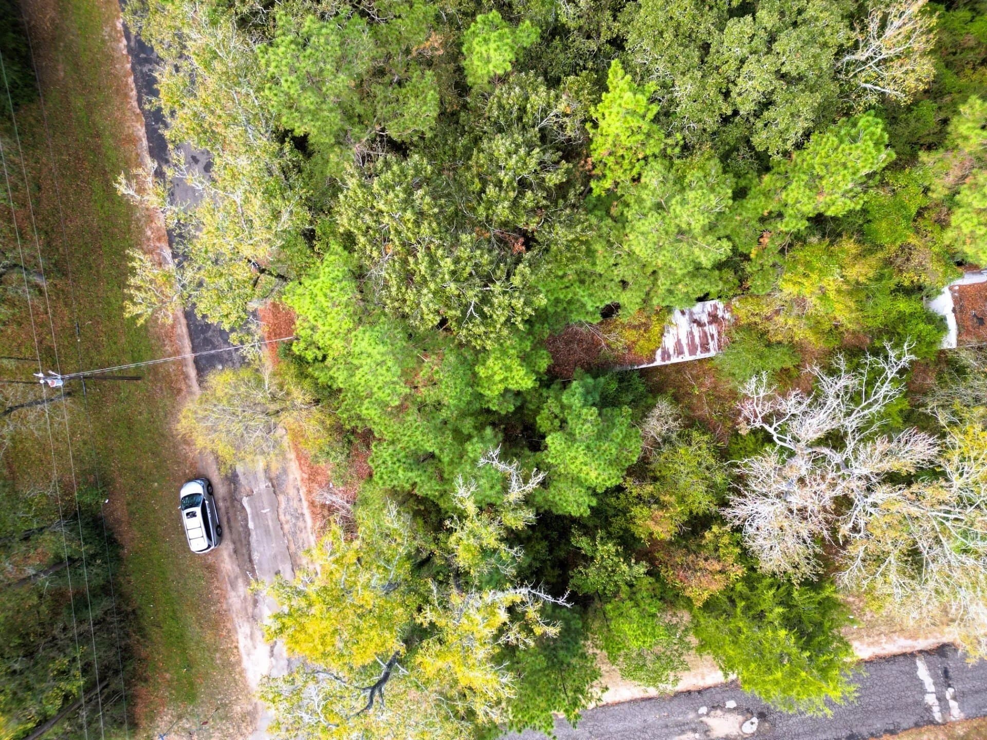 0.35 acres in Trinity County - photo 7