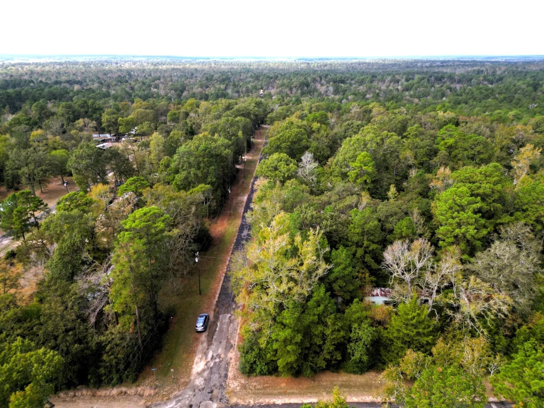 0.35 acres in Trinity County - photo 8