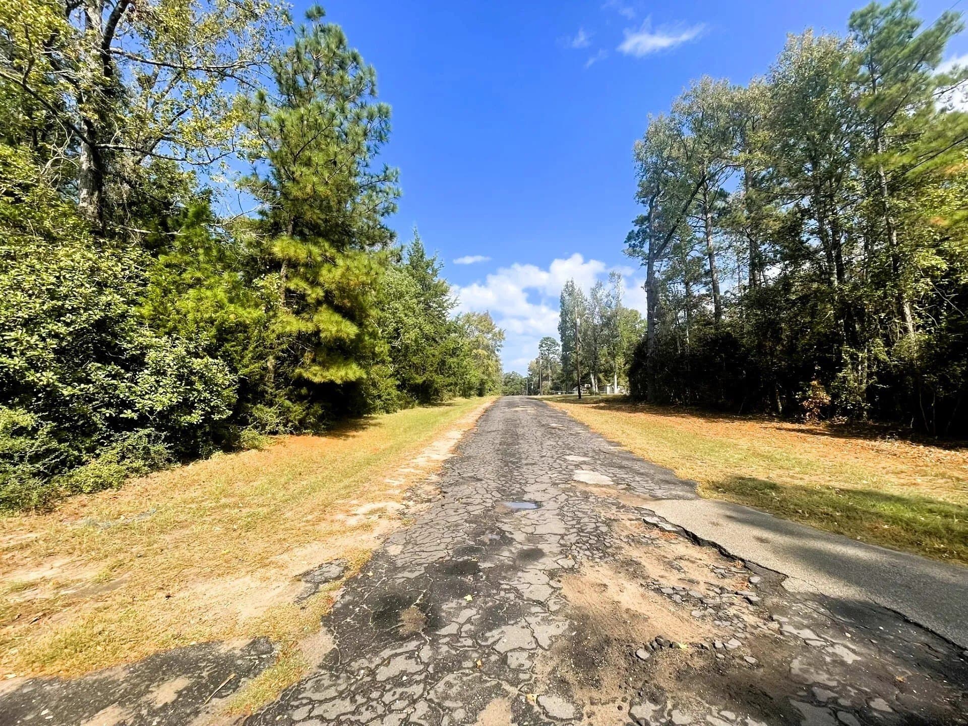 0.35 acres in Trinity County - photo 14