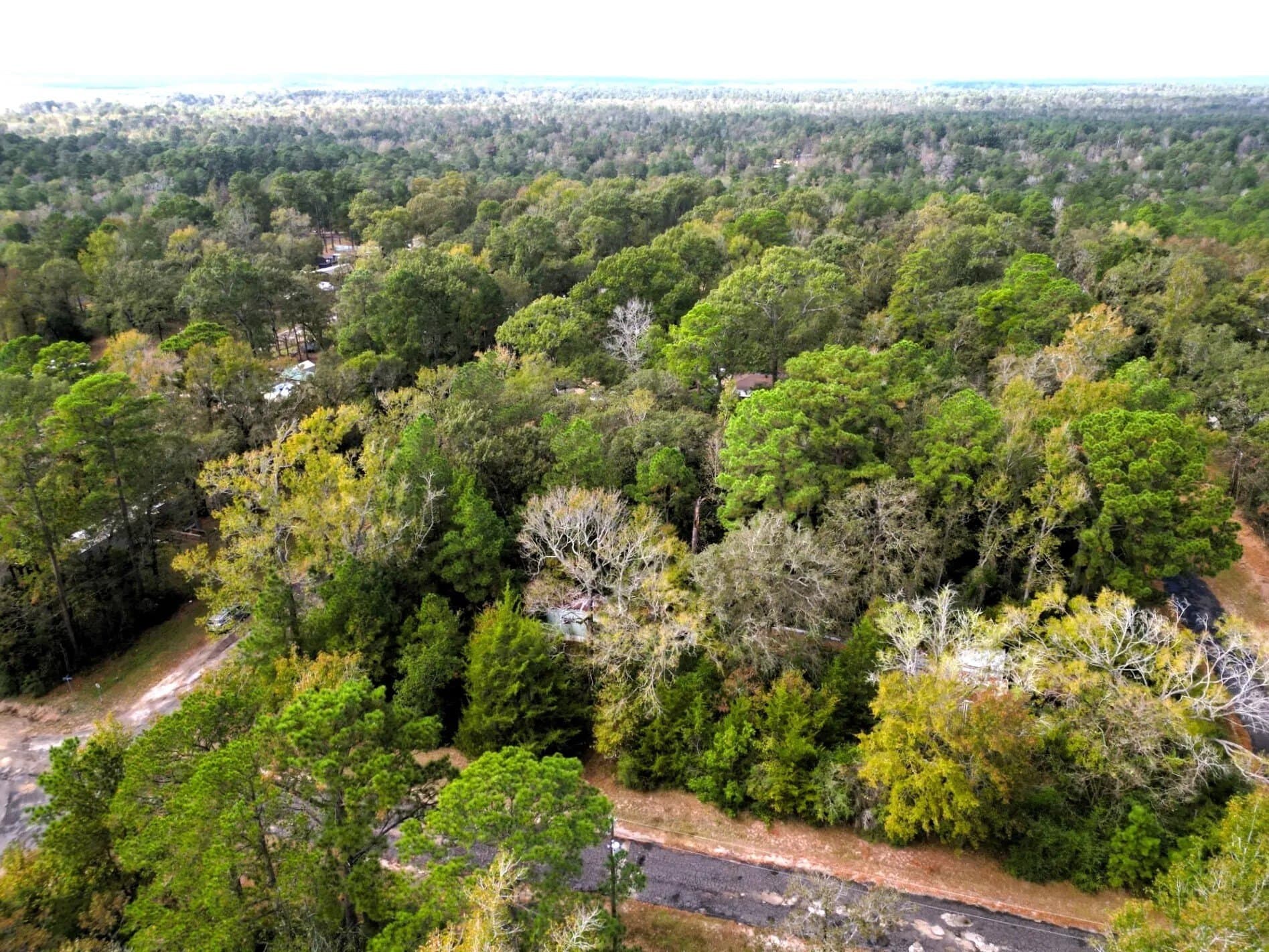 0.35 acres in Trinity County - photo 9