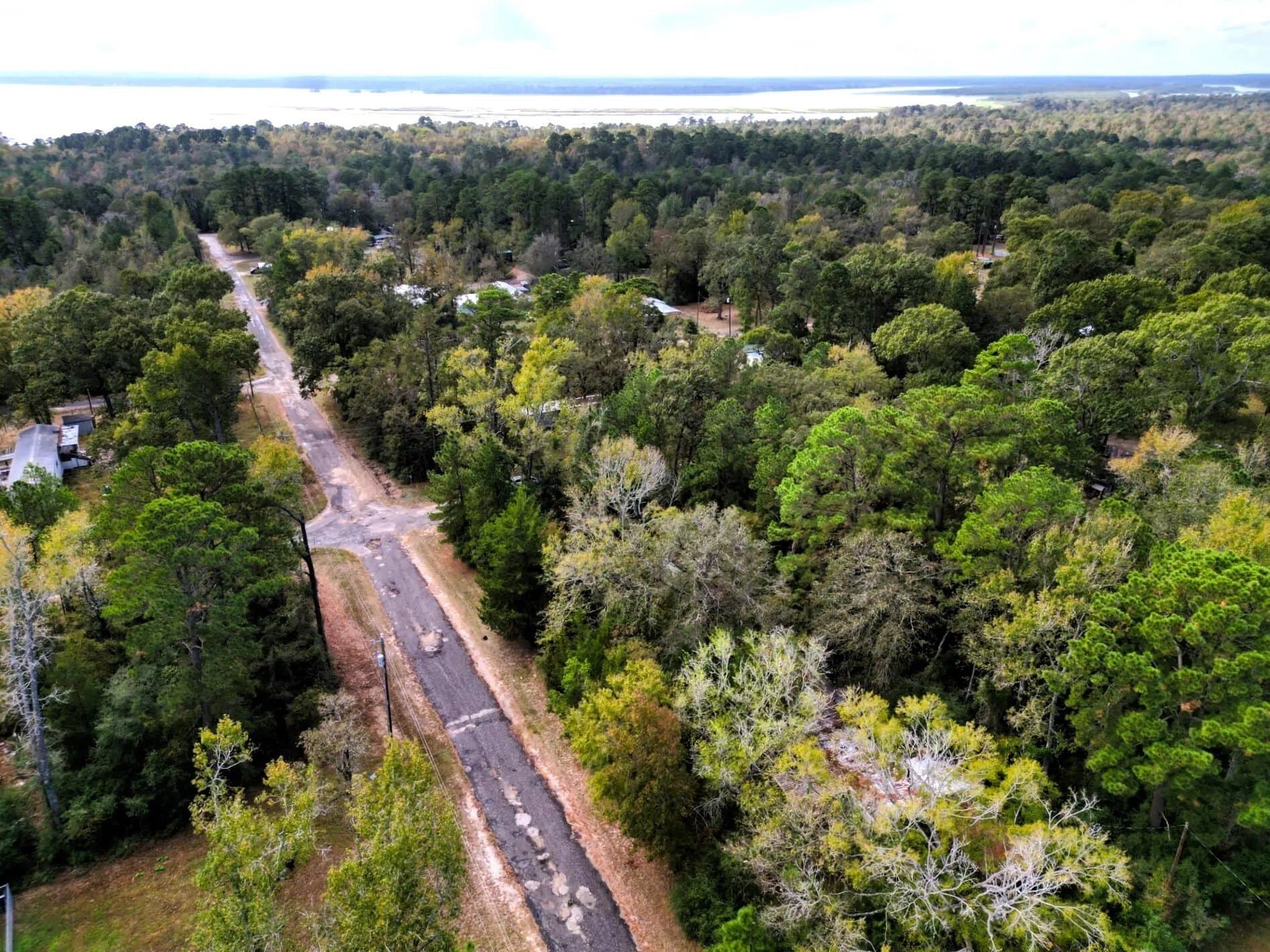 0.35 acres in Trinity County - photo 10