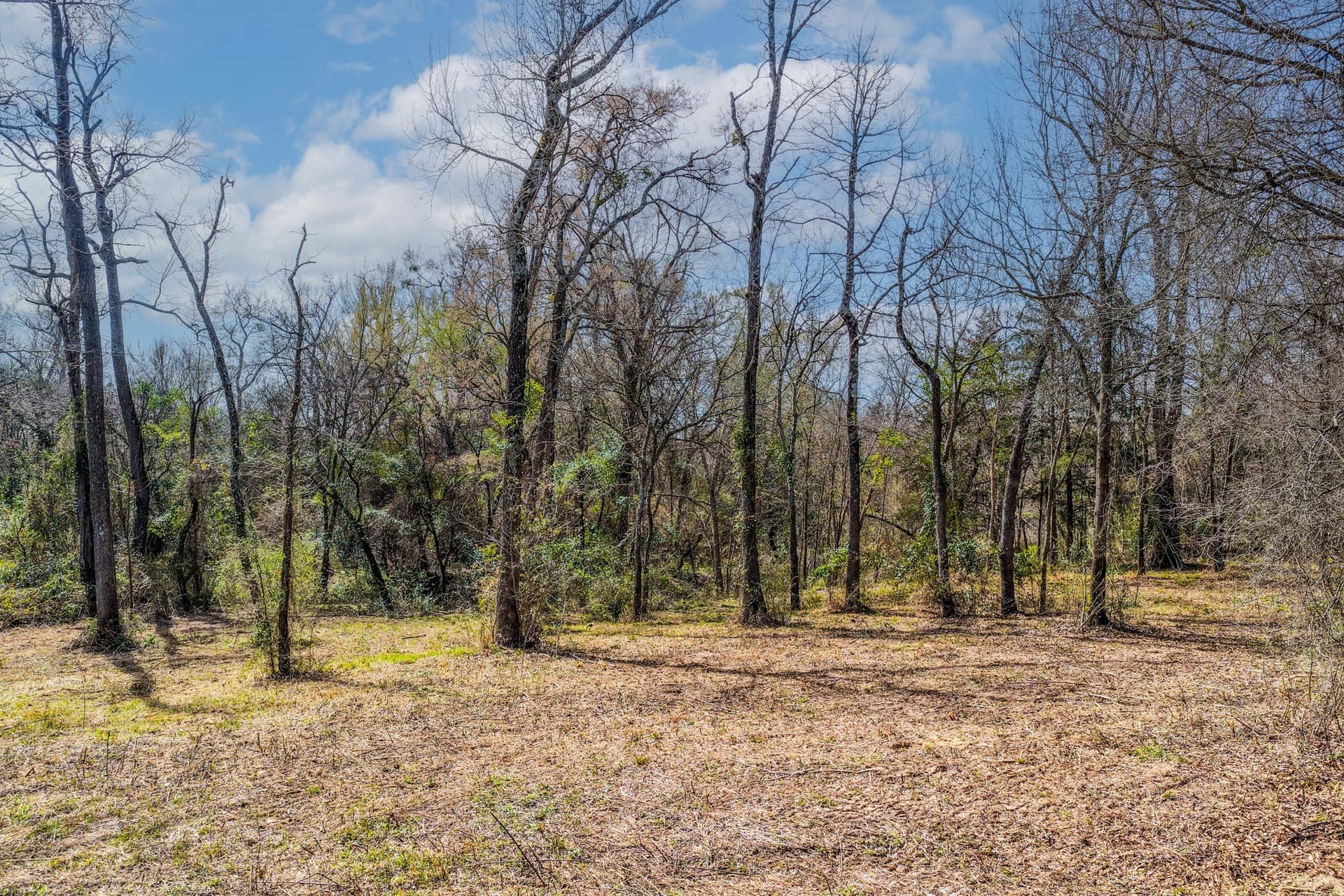 2.22 acres in Hopkins County gallery image 3