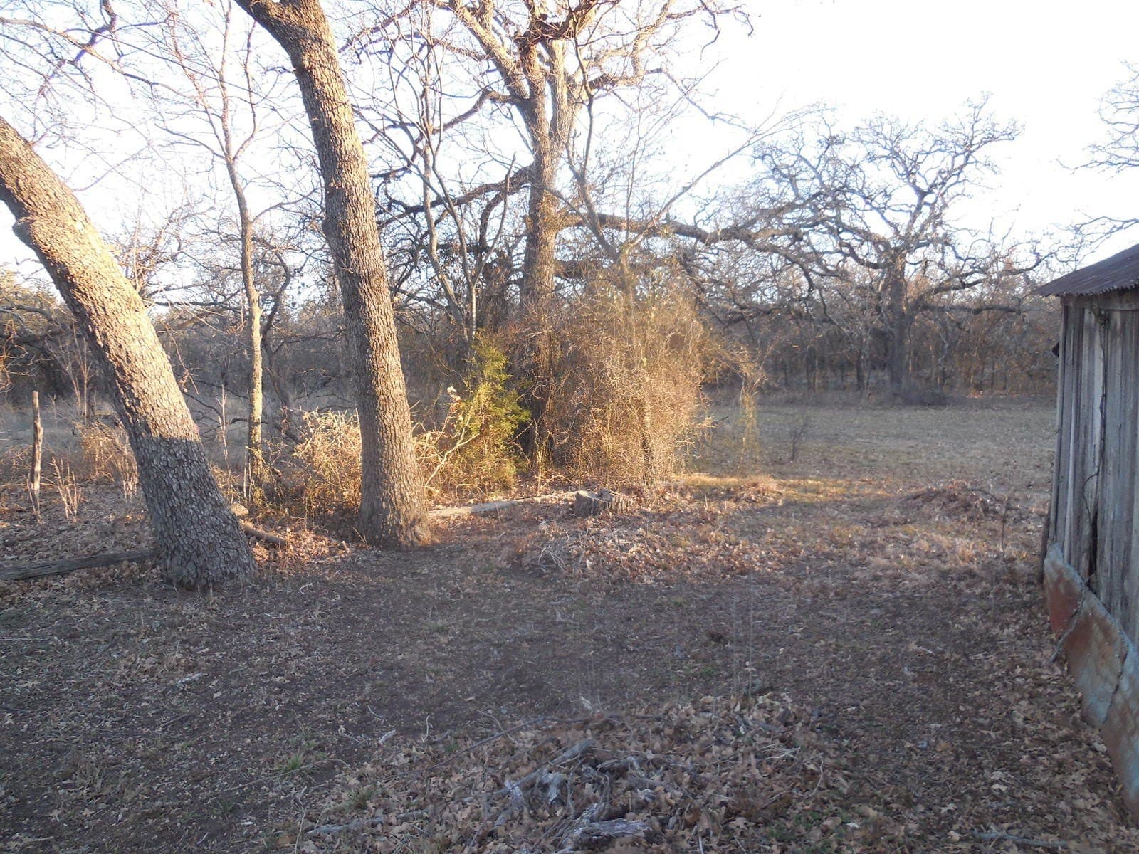 0.92 acres in Eastland County gallery image 4