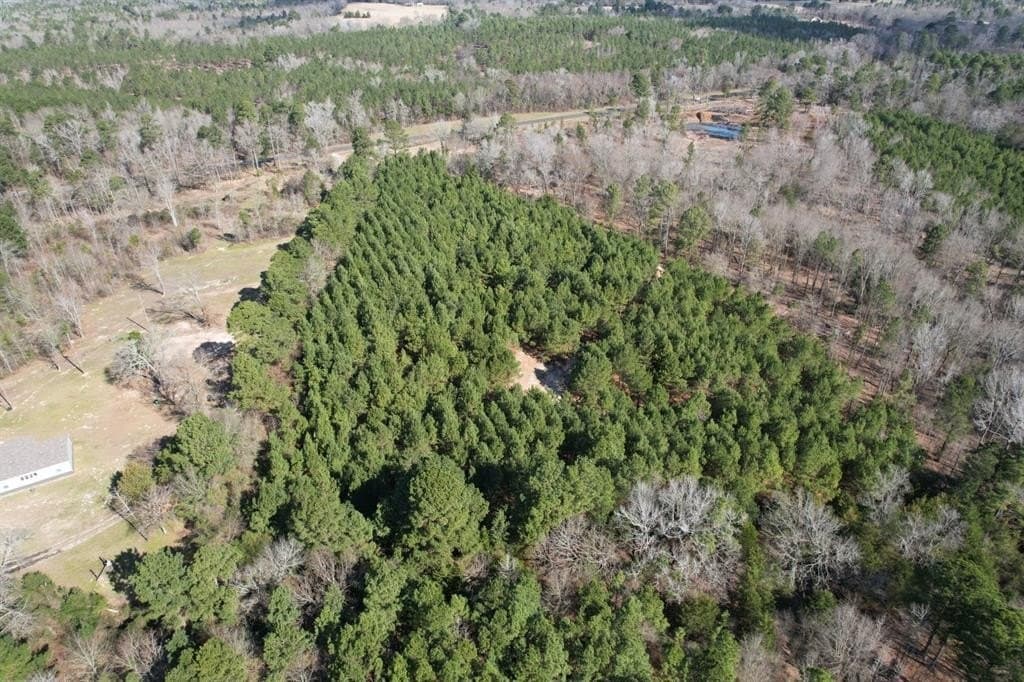 11.62 acres in Smith County gallery image 4