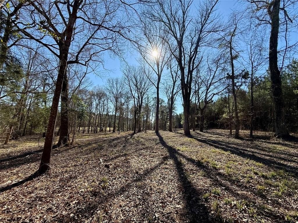 11.62 acres in Smith County gallery image 2