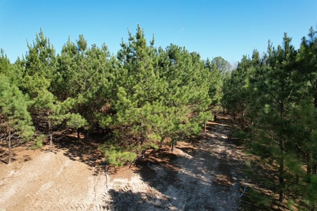 11.62 acres in Smith County featured view