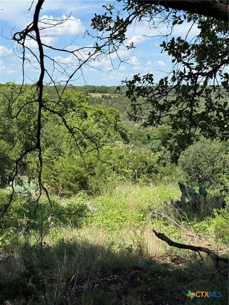 5.12 acres in Bell County gallery image 4